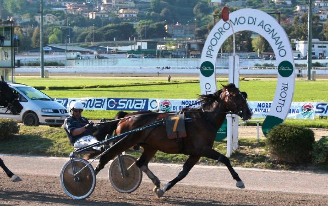 Fase 2, riapre l'ippodromo di Agnano: corse a porte chiuse