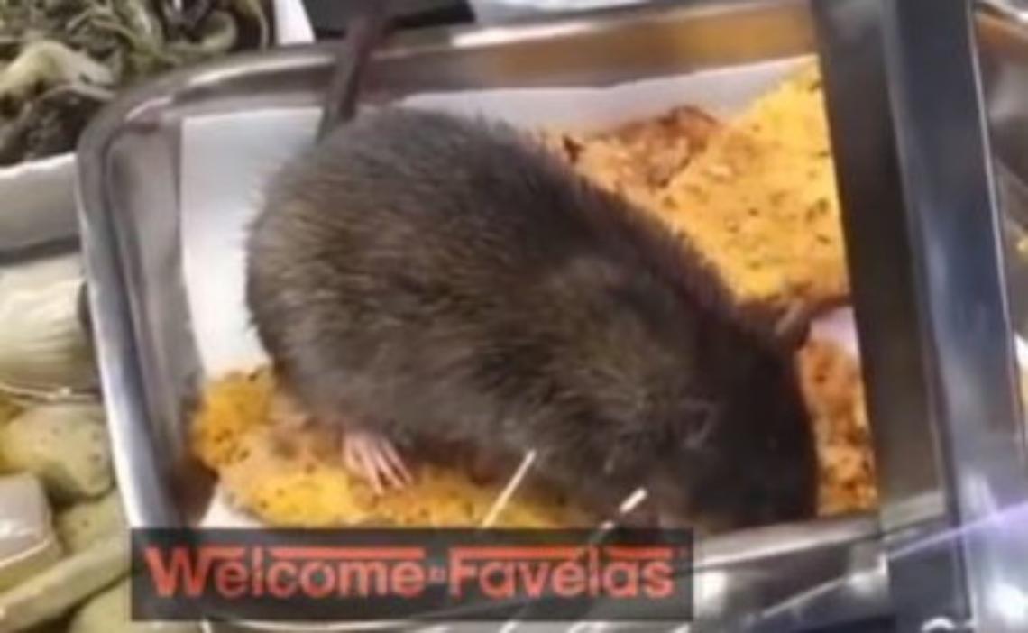 Topo al supermercato, nel bancone gastronomia: il video 