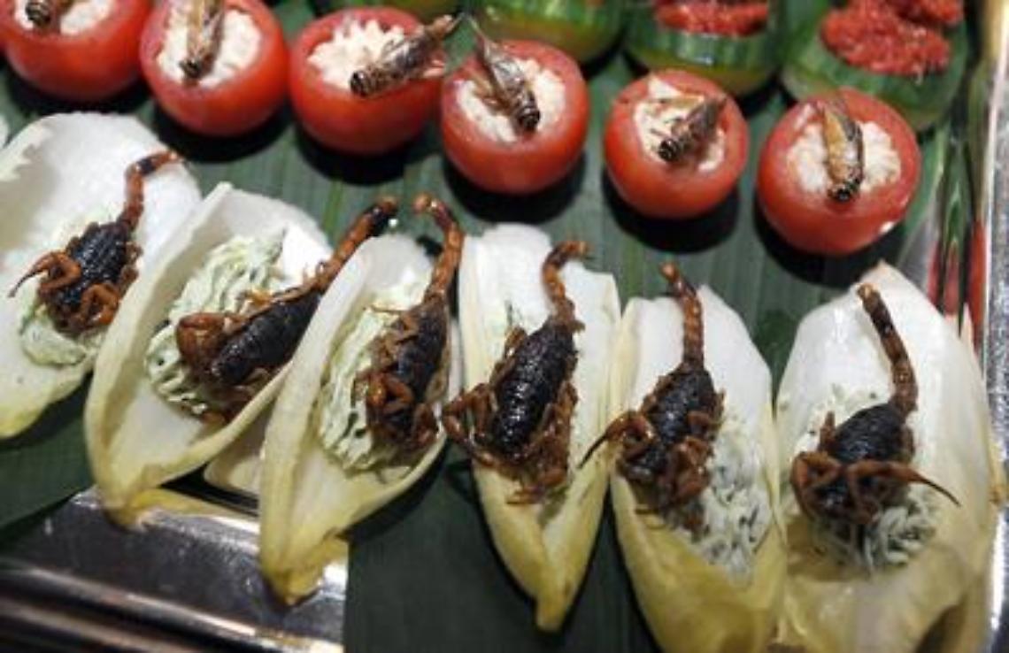 Nuovi alimenti sulle nostre tavole: ecco quali sono