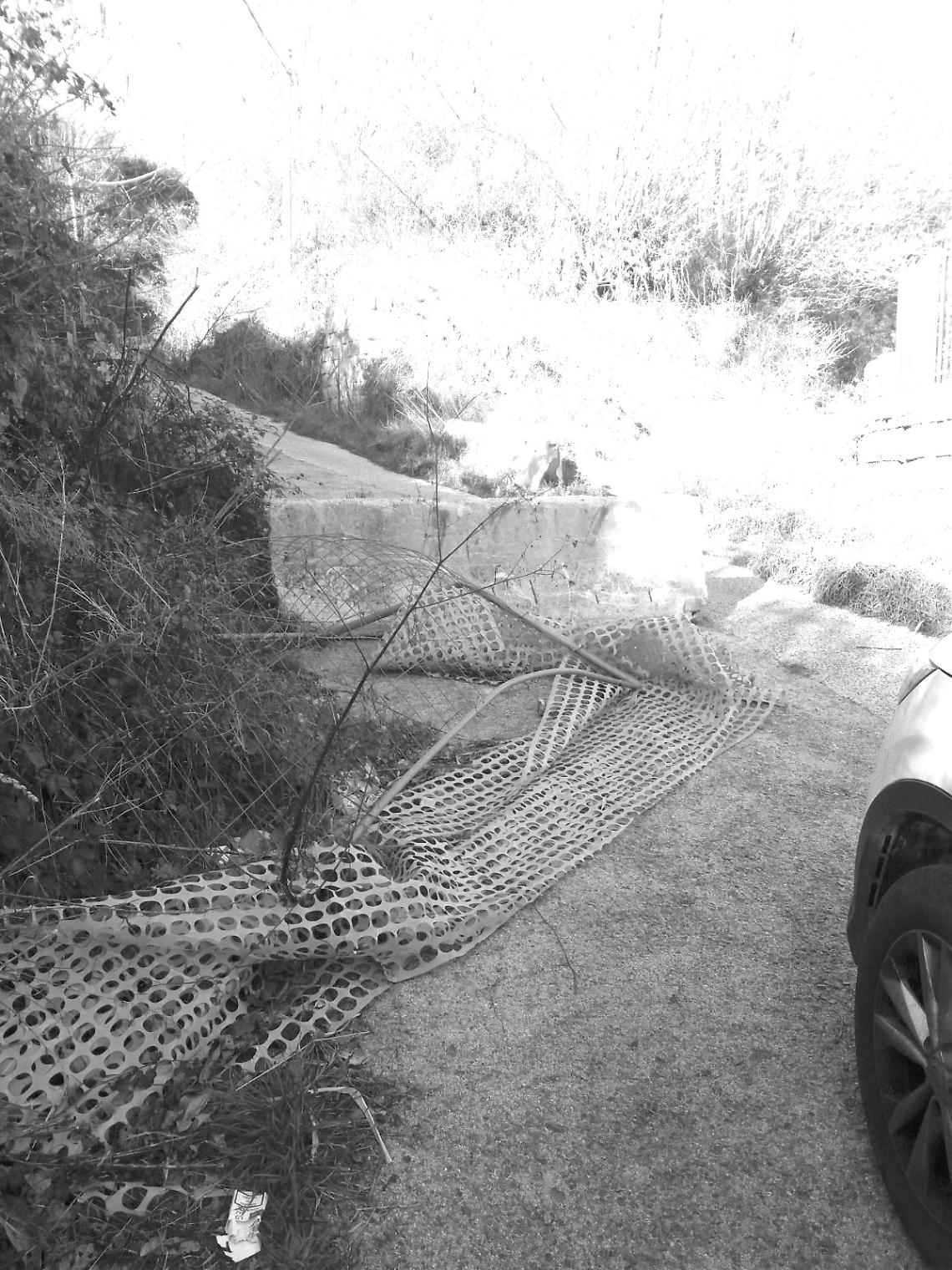 «Prigionieri in casa, il Comune che fa?»