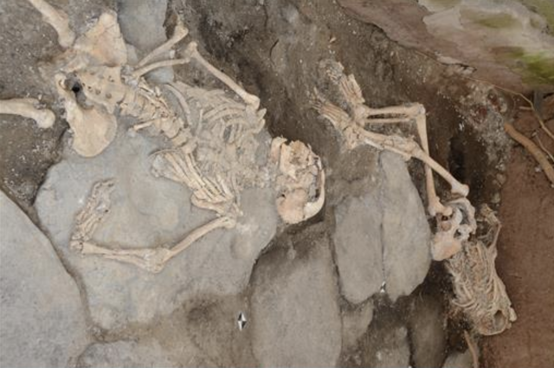 Pompei, nuovi scavi nella Regio IX: trovati i resti di tre vittime dell'eruzione 