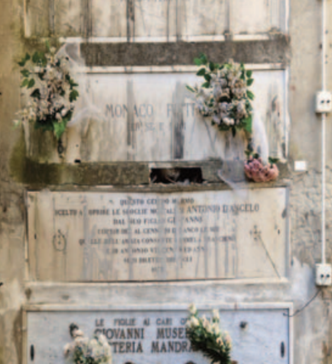 Loculi sfasciati e degrado al cimitero di Miano