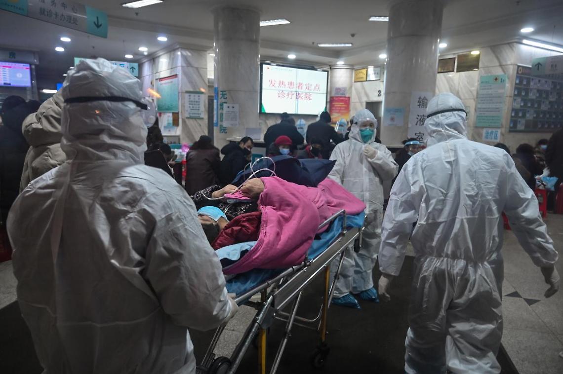 Cina, scoperto nuovo virus «con potenziale pandemico»