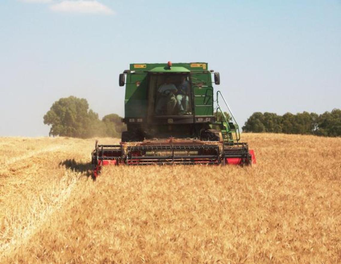 Tragedia per un bimbo 10 anni: travolto dal grano, era sul rimorchio di un trattore