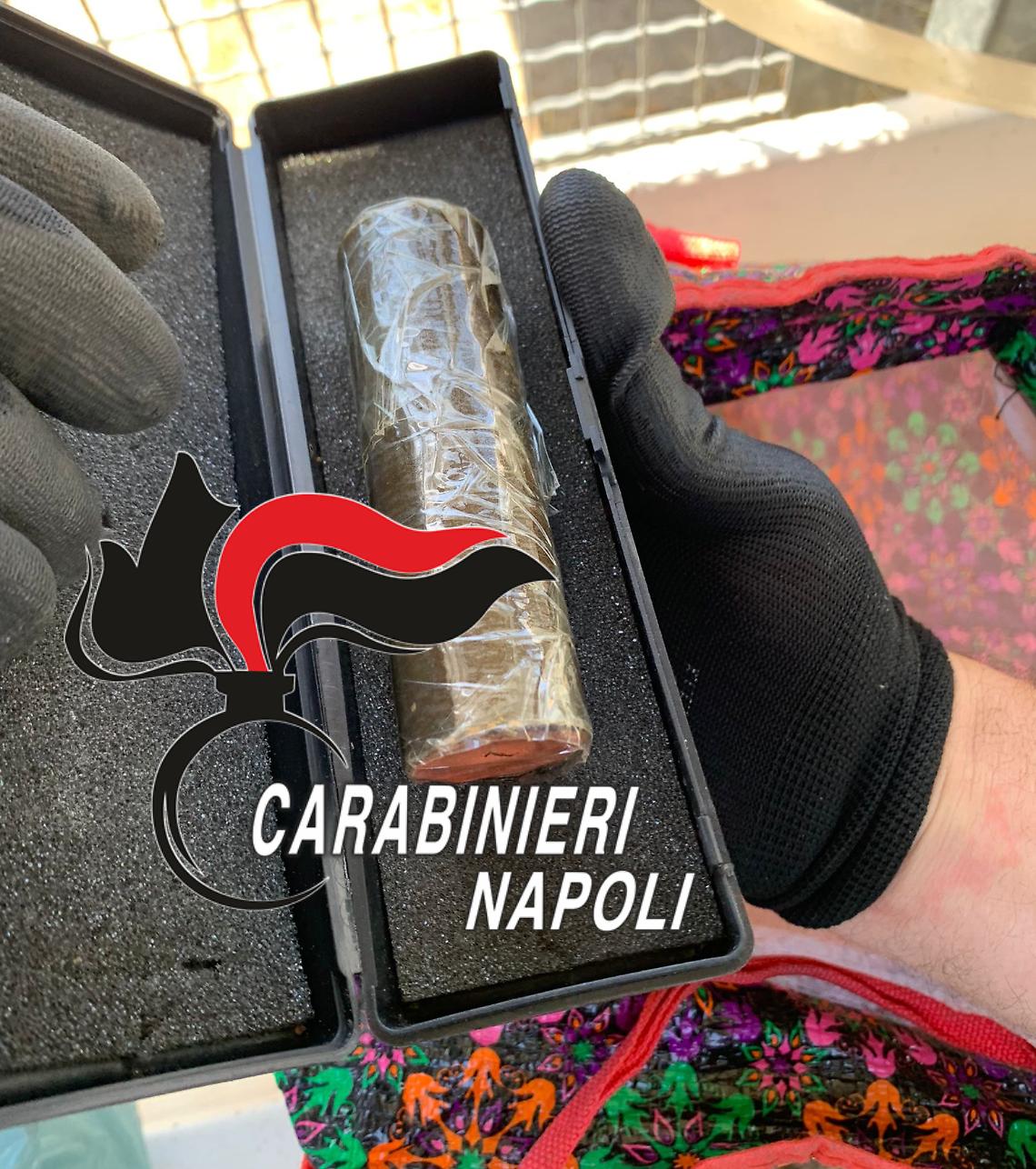 Pittbull e agnello a guardia di droga e bomba in un'aiuola a Napoli