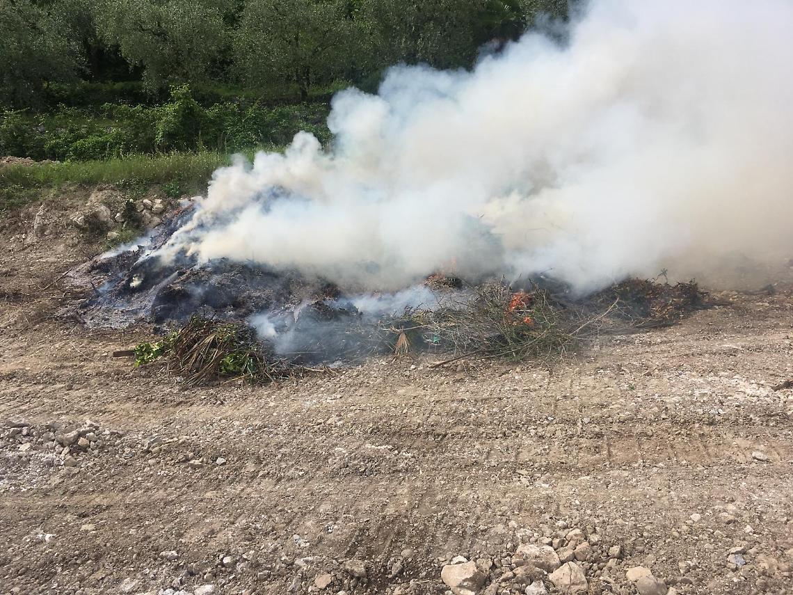 Sorpreso a bruciare sterpaglie a Monte di Procida, arrestato
