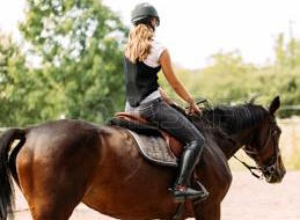 Abusi sessuali durante le lezioni di equitazione, arrestato titolare di un maneggio