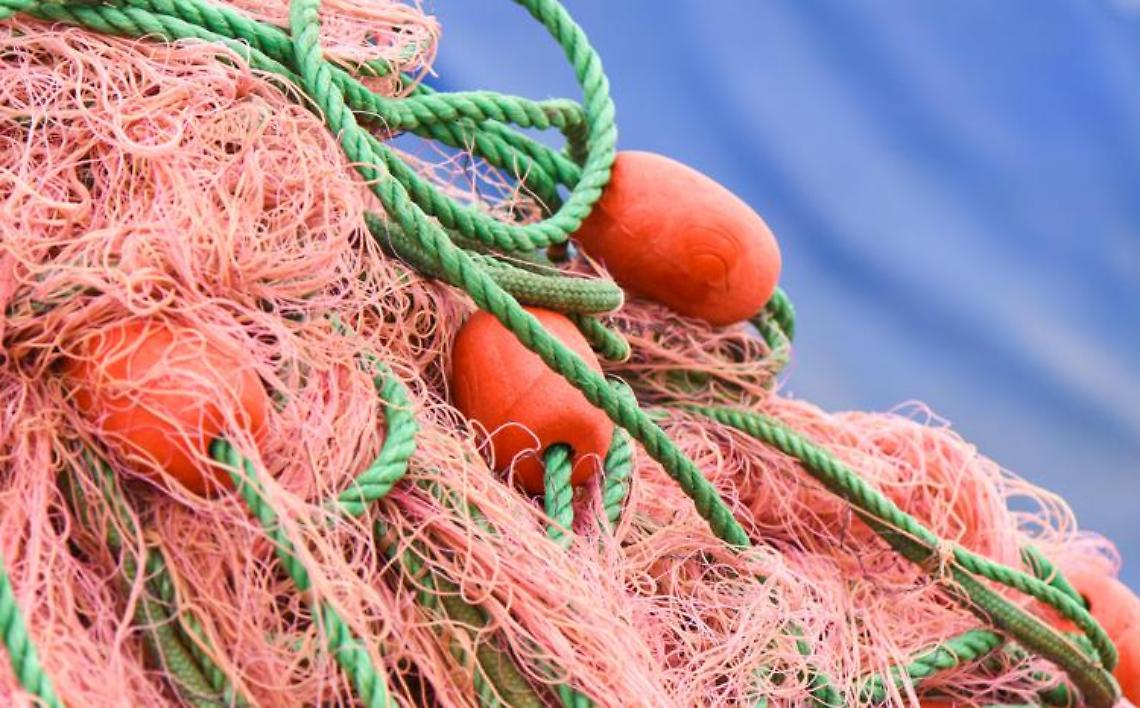 Pesca, Gruppo ID: bene utilizzo fondo di crisi, Ue faccia di più per sostenere settore