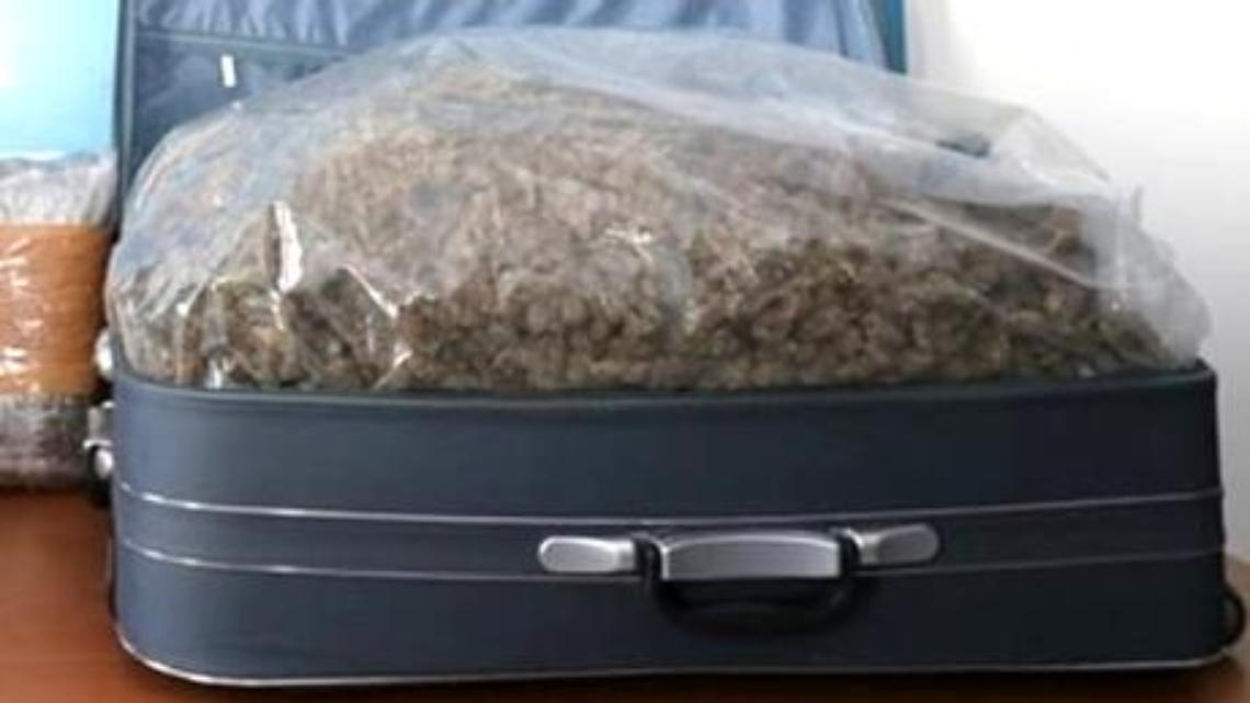 Decine di trolley di marijuana dalla Spagna a Casoria, tre arresti
