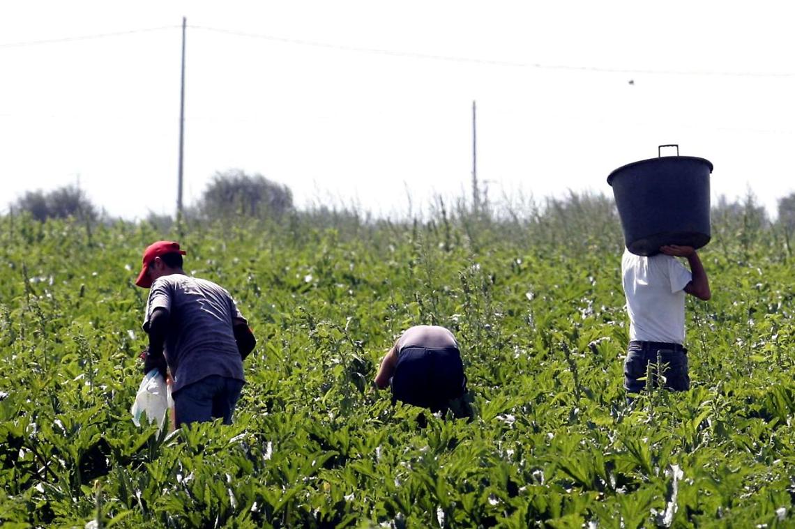 Dal 3 giugno frontiere aperte a 150mila braccianti stranieri