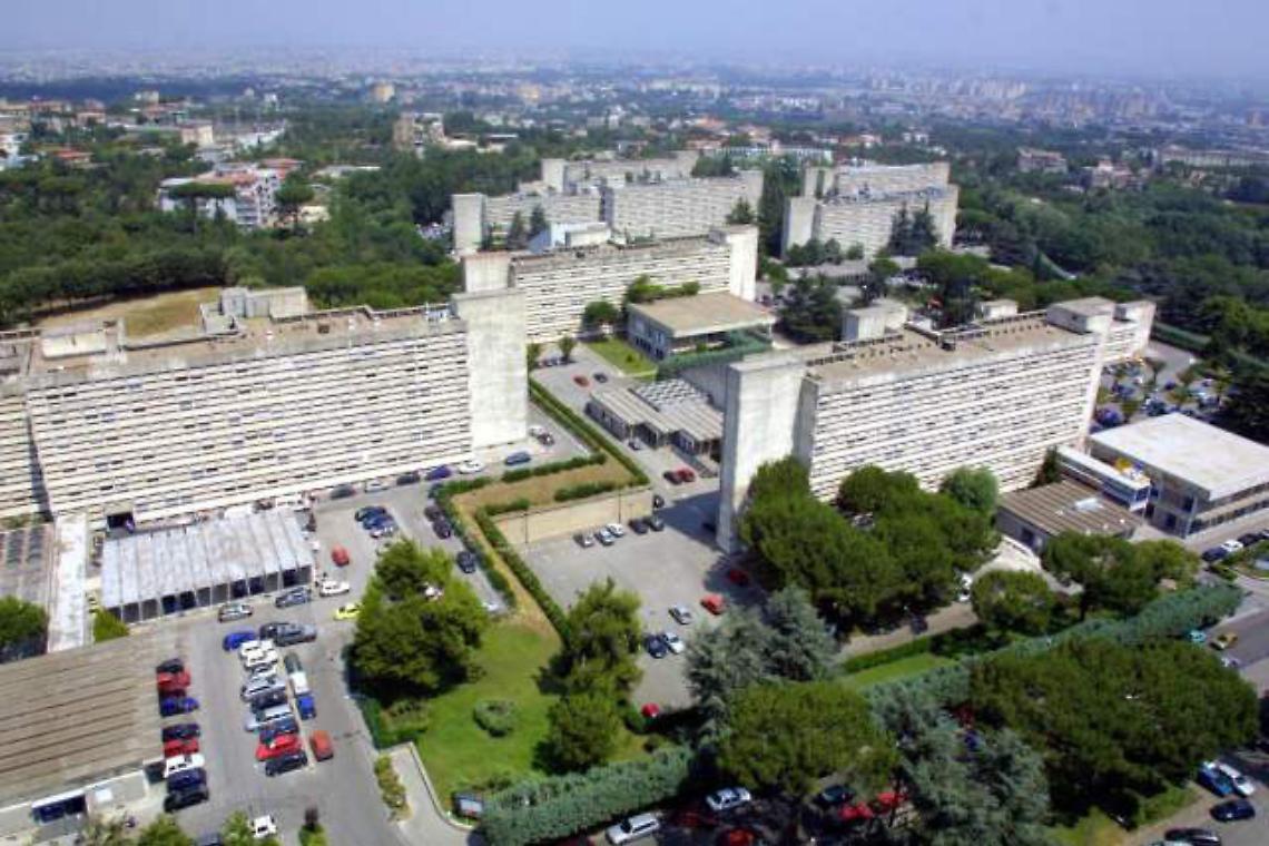 «A Napoli ho conosciuto una sanità di elevata qualità e professionalità»