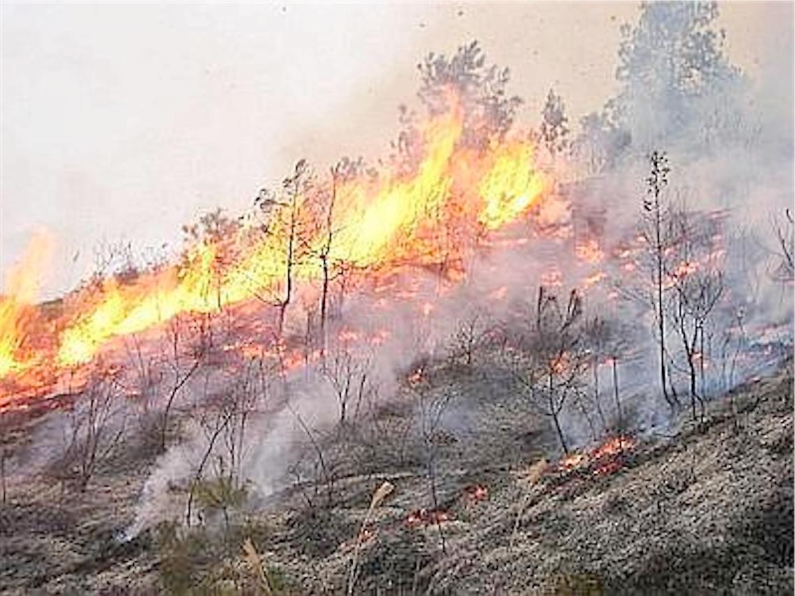 Torre del Greco, rischio incendi: ordinanza di bonifica