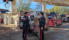 Controlli in campi rom, recuperati 400 chili di rame e due pitbull maltrattati