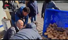 Droga a Napoli dalla Spagna, in un tir 387 chili di hashish provenienti da Barcellona