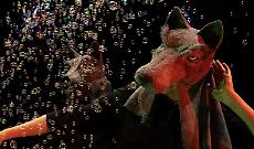 Castellammare di Stabia Rosaluna e i lupi: una favola sul coraggio di essere liberi