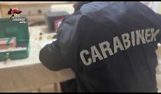 Truffe informatiche per il clan Mazzarella, 16 misure cautelari a Napoli