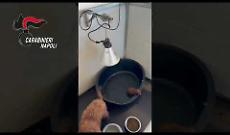 Barboncini toy in canile abusivo nel Napoletano, struttura sequestrata