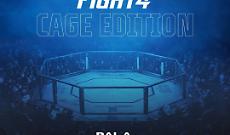 Edenlandia, arriva la &ldquo;gabbia" della MMA