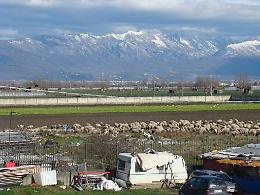 Gregge al pascolo<br>in terreni “sospetti”