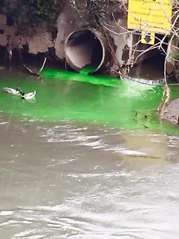 Fiume Sarno, alla foce il mare si colora di verde fluorescente