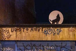 Banksy, opera rubata a Londra dopo un'ora: il furto in diretta
