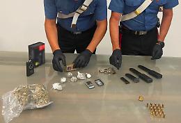 Piantagione di cannabis con oltre 250 fusti sequestrata dai carabinieri