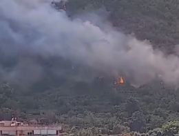 Rogo nel Parco del Vesuvio, circoscritto l'incendio tra Gragnano e Pimonte