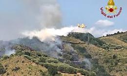 Fiamme in Cilento, vasta area di vegetazione in fumo