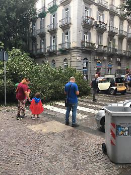 Cade un albero al Vomero, tragedia sfiorata