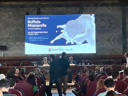 Bufala campana «eccellenza italiana»
