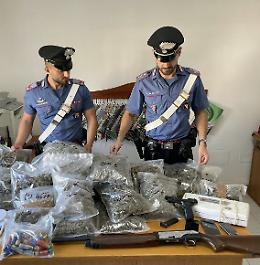 Marijuana, armi e munizioni in casa: tre in manette