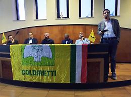 Contratti del latte di bufala controllati contro le pratiche sleali