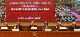 Nave: Campania terra di vini antichi e passione contemporanea