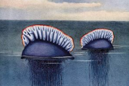 Alla ricerca dell’amore perduto