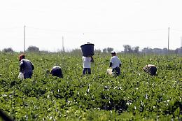 Immigrazione, sfruttamento e nuovo modello di sviluppo