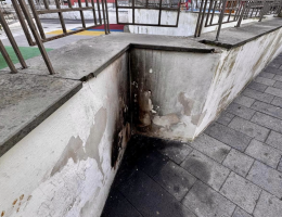 Gatto bruciato vivo in piazzetta, choc nel Napoletano