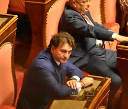 Il senatore Silvestro segretario di Forza Italia per la Provincia di Napoli