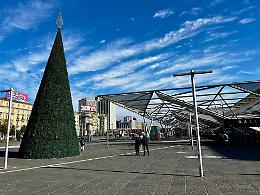 Albero di Natale in piazza Garibaldi, accensione il 6 dicembre
