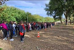 Le scuole dell’area flegrea per la  Giornata nazionale degli Alberi