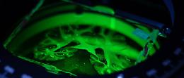 The Ebrains-Italy Research Infrastructure for Neuroscience challenges, due giorni di workshop