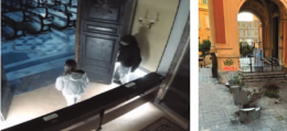 La follia di stupidi, vandali e zozzoni
