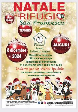 Arriva "Natale al Rifugio", festa anche per gli amici a quattro zampe