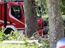 Roma, cade albero a Colli Aniene: morta una donna