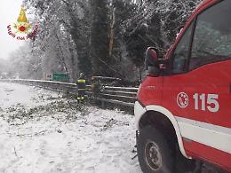 Maltempo al Centro-Sud, operaio muore travolto da albero in strada
