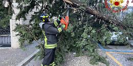Vento forte, vigili del fuoco in azione nel Casertano