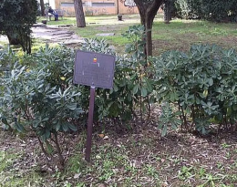 Giorno della Memoria, “spariscono” il roseto e la targa al piccolo Sergio De Simone
