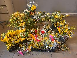 Festa della donna, sequestrati oltre 2.500 fasci di mimose