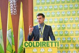 Agricoltura del Sud, evento Coldiretti a Napoli