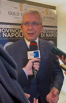 Forza Italia, Librandi: «Puntiamo al 25%, il Sud deve essere protagonista»