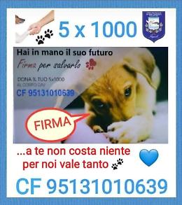 Il “Corpo Gav” invita a destinare il 5x1000 in favore degli amici a 4 zampe
